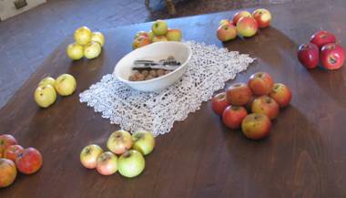 Apple varieties in Romania